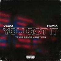 You Got It_VEDO,Young Dolph,Money Man