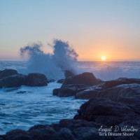 To a Distant Shore_Hearts & Colors