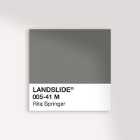 Landslide_Rita Springer