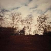 Paradise_Mundy