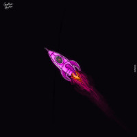 Pink Rocket_Alex Preston,Julia Church
