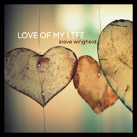 Love of My Life_Steve Wingfield,Jim Brickman,Tom Douglas