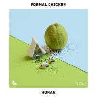 Human_Formal Chicken,Sea Flap Flap,Fets,Brandon Flowers,Dave Keuning,Mark Stoermer,Ronnie Vannucci