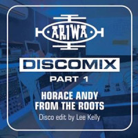The Bingy Man_Horace Andy,Mad Professor,Lee Kelly