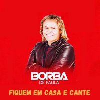 O PRIMEIRO AVIÃO_Borba de Paula
