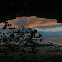 Laju_Dialog Senja