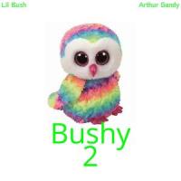 New Life (feat. Arthur Gandy & Rooster & Lucas)_lil bush,Arthur Gandy,Rooster,Lucas
