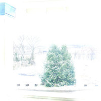 rightwing x_Felix Snow