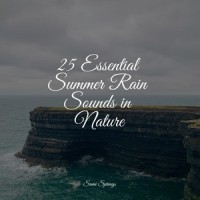Endless Rains_Echoes of Nature,Ambient Rain,Sleepy Times