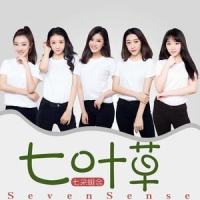 七叶草_七朵组合
