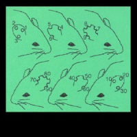 FPC 670_Noma