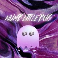 Numb Little Bug_Rain Paris