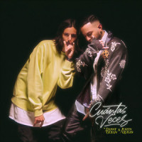 Cuántas veces_Danny Ocean,Justin Quiles