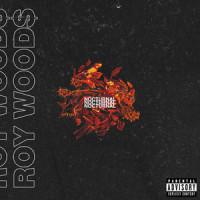 Instinct (feat. MadeinTYO)_Roy Woods
