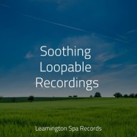 Serene Sounds_Rainy Sounds,Deep Sleep,White Noise for Deeper Sleep