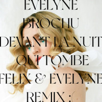 Devant la nuit qui tombe_Evelyne Brochu