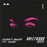 Hollywood Hills_Casey Baer,12AM