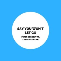 Say You Won't Let Go (feat. Casper Esmann)_Peter Gergely,Casper Esmann