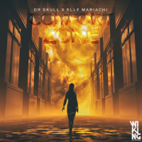 Comfort Zone_Dr Skull,Elle Mariachi