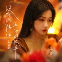 没有你陪伴真的好孤单_王晴