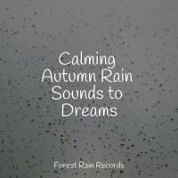 Thunder Rain_Trouble Sleeping Music Universe,Deep Sleep,Massage Music