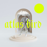 Fine Line_Atlas Bird