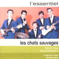 Croque croque la pomme_Les Chats Sauvages,Dick Rivers