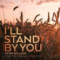 I'll Stand By You_Peter Hollens,The Hound + The Fox