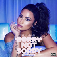 Sorry Not Sorry_Demi Lovato