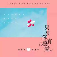 只对你有感觉_张家旺,悦开心