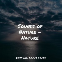 Unwind Rewind_Musica Relajante,Asian Zen: Spa Music Meditation,Deep Sleep