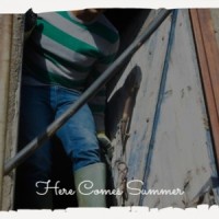 Here Comes Summer_Ned Miller