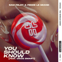 You Should Know (feat. Craig Smart)_Sam Feldt,Fedde Le Grand,Craig Smart