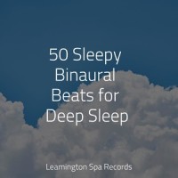 Sleep Well_Easy Sleep Music,Sons da Natureza & Relaxamento,Wellness