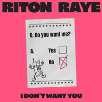 I Don't Want You_Riton,RAYE