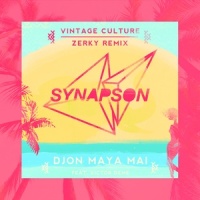 Djon maya maï(feat. Victor Démé)_Synapson,Victor Démé