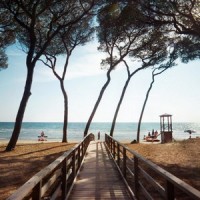 Life's a Beach_Home