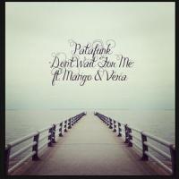 Don't Wait For Me(feat. Mango & Vera)_Patafunk,Mango,Vera