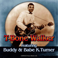 Why Won't My Baby Treat Me Right_T-Bone Walker