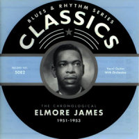 Rock My Baby Tonight_Elmore James