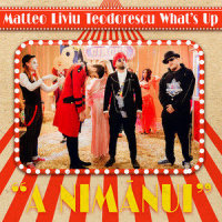 A nimănui_Matteo,Liviu Teodorescu,What's Up