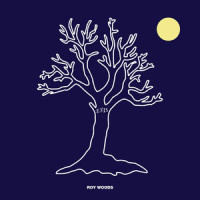 Get You Good_Roy Woods
