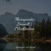 Spa Time_Meditation Relaxation Club,Rain Man Sounds,Wellness