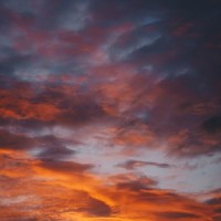 Cool Breeze_The Rainforest Collective,Sleepy Times,Asian Zen Spa Music Meditation