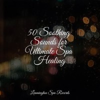Detox the Mind_Thunder Storms & Rain Sounds,Pink Noise,Namaste Healing Yoga