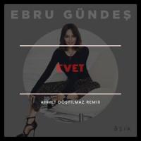Evet(feat. Ebru Gündeş)_Ahmet Döşyılmaz,Ebru Gündes