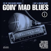 Mistreater,You're Going To Be Sorry_Blind Boy Fuller,Sonny Terry