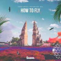 How To Fly_Eneko Artola,Soundwaves,James Yigit Kaya,Cameron Koa Delacerna,Koa