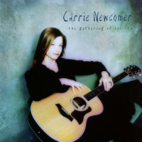 Straight To The Point_Carrie Newcomer