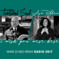 I Wish You Were Here_Tortured Soul,Lisa Shaw